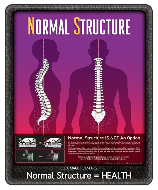 Chiropractic Bismarck ND Normal Structure